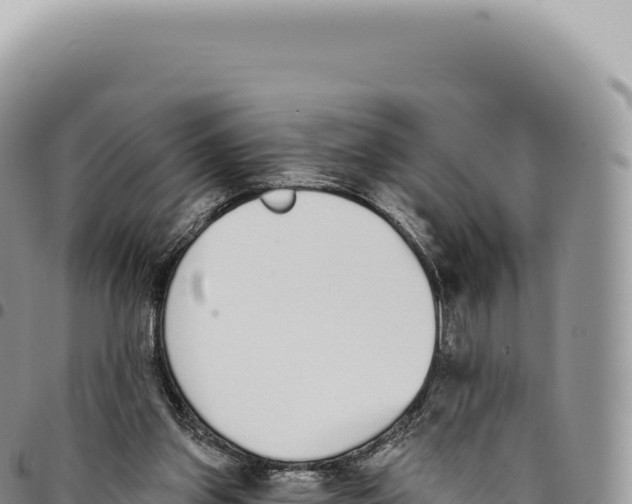X0000093360157200711081522