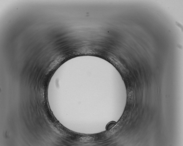 X0000093360158200711081522