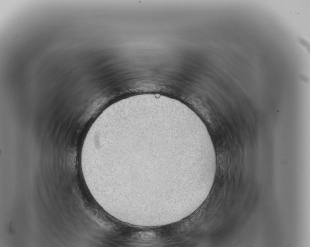 X0000093360159200711081522