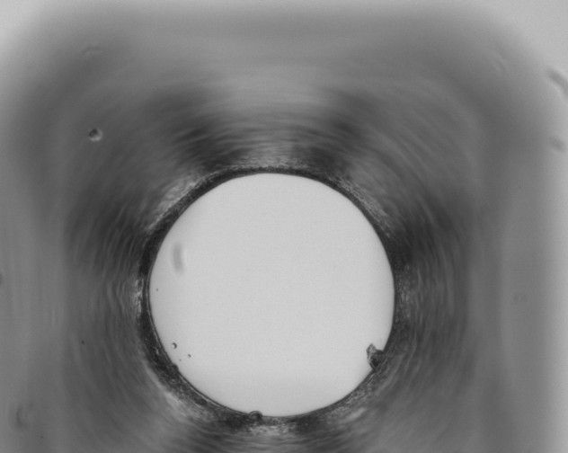 X0000093360160200711081522