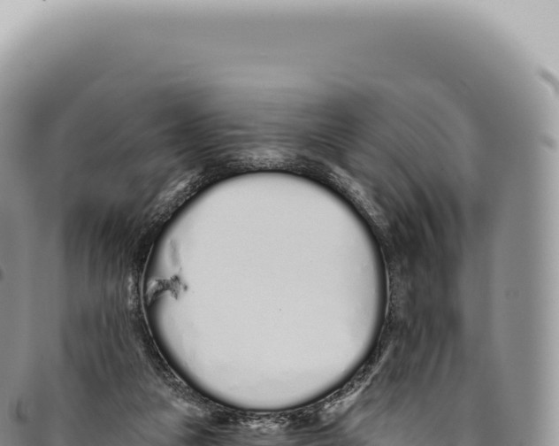 X0000093360161200711081522