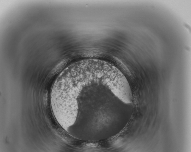 X0000093360163200711081522