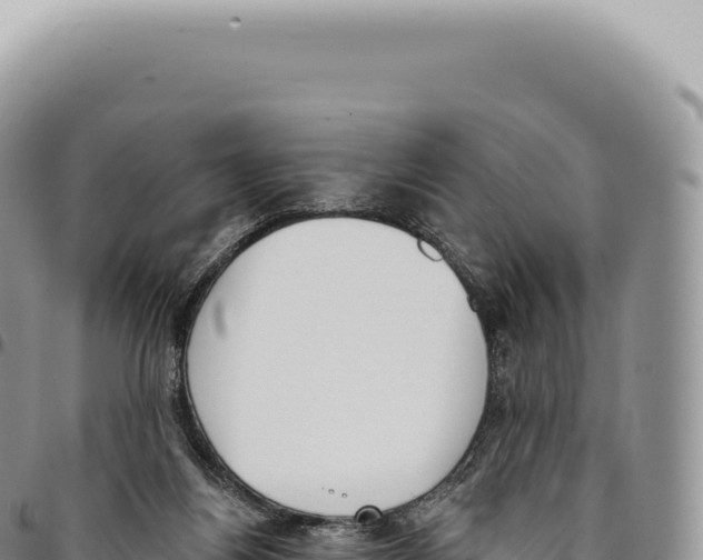X0000093360164200711081522