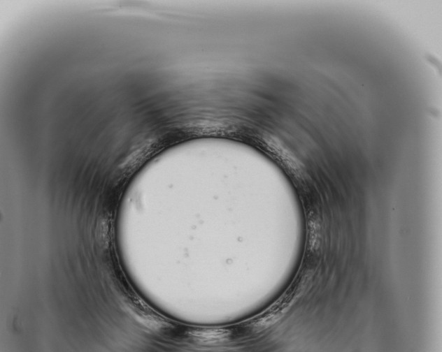 X0000093360165200711081522