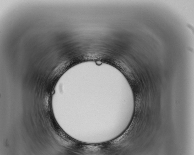 X0000093360166200711081522