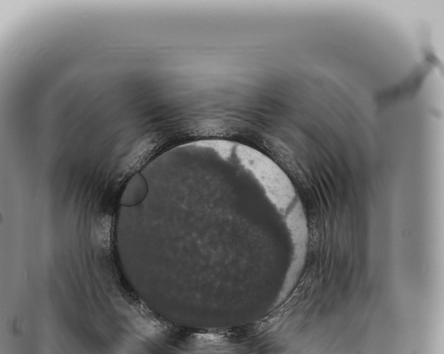 X0000093360167200711081522