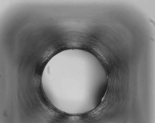 X0000093360168200711081522