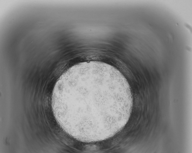 X0000093360169200711081522
