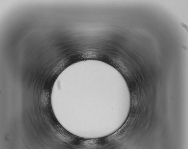 X0000093360171200711081522