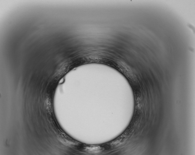 X0000093360173200711081522