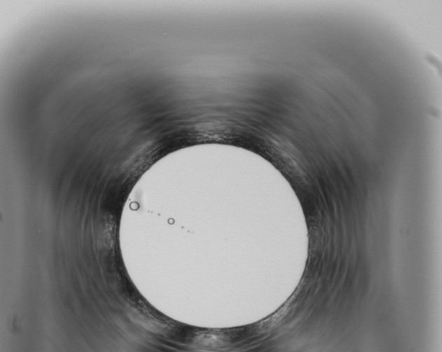 X0000093360174200711081522
