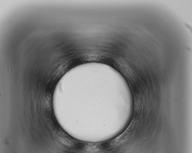 X0000093360175200711081522