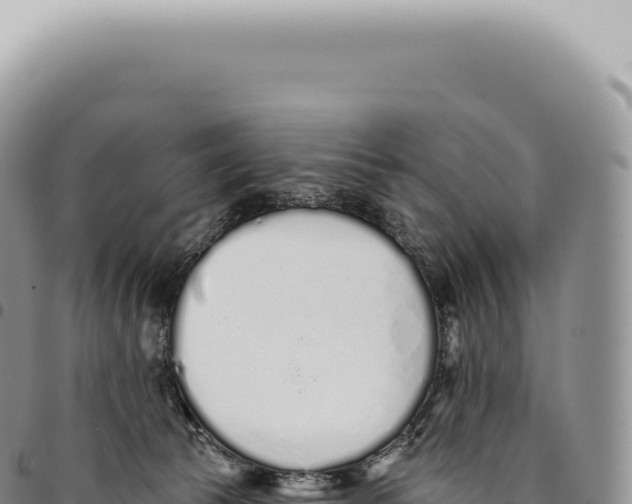 X0000093360177200711081522