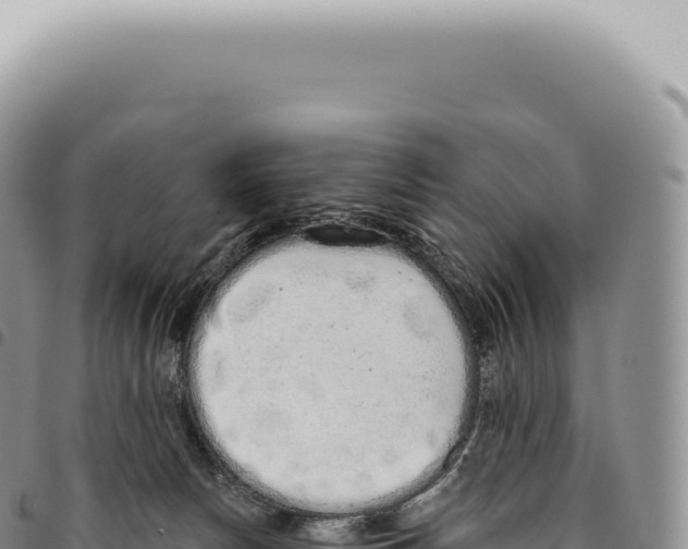 X0000093360178200711081522