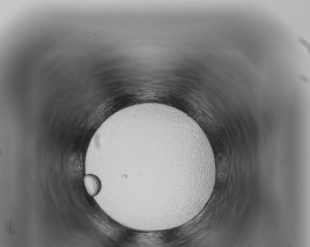 X0000093360179200711081522
