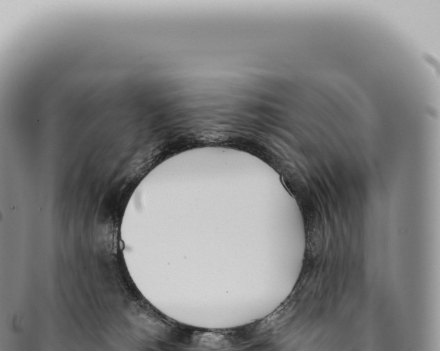 X0000093360180200711081522