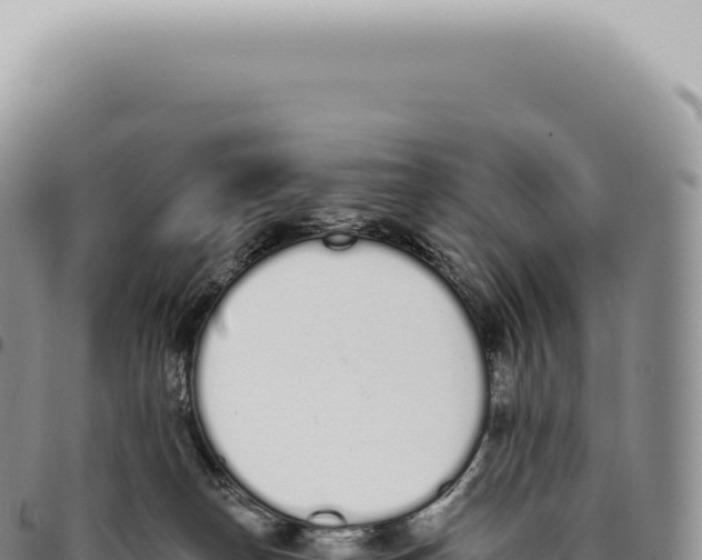 X0000093360182200711081522