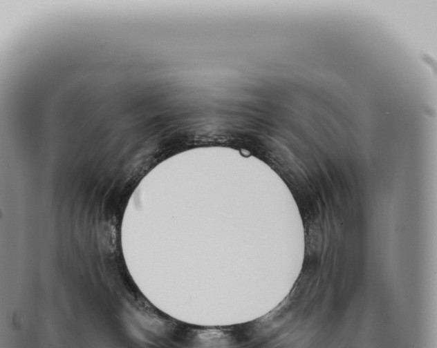 X0000093360183200711081522