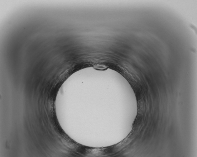 X0000093360184200711081522