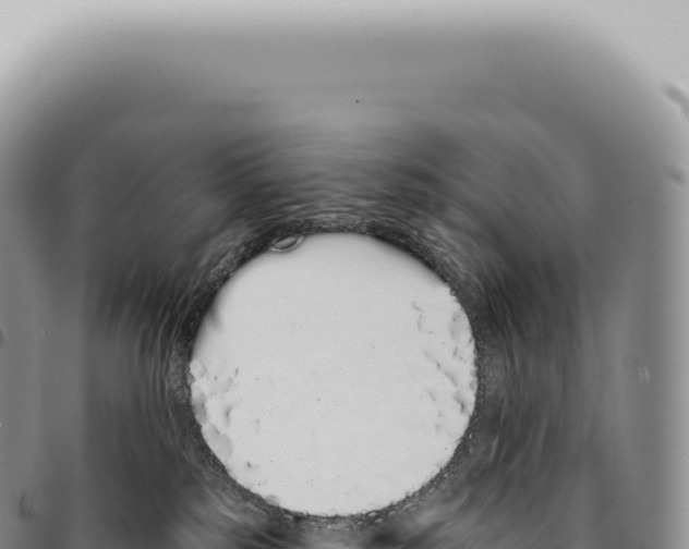 X0000093360185200711081522