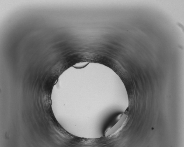 X0000093360186200711081522