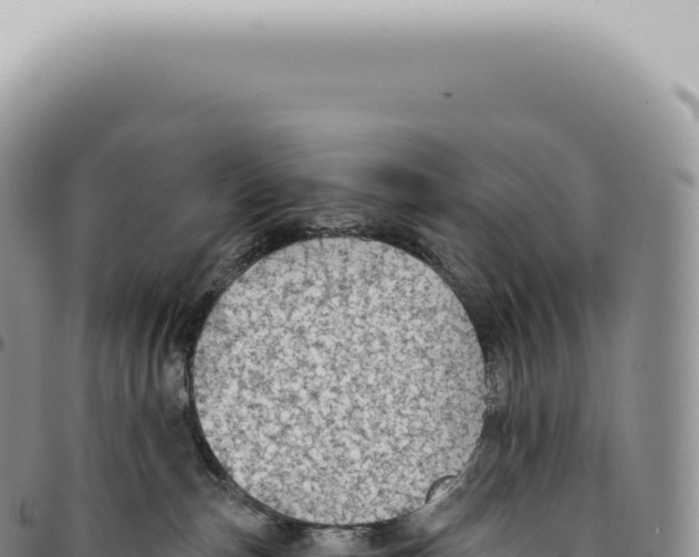 X0000093360187200711081522