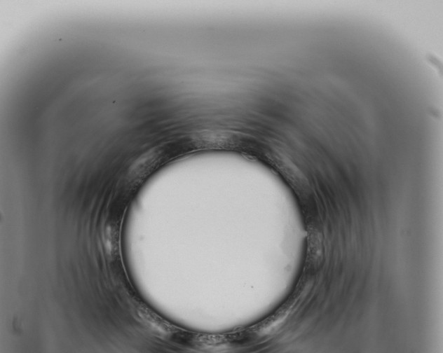 X0000093360189200711081522