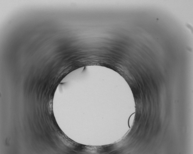 X0000093360190200711081522