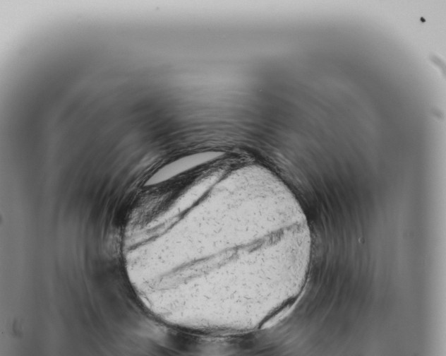 X0000093360191200711081522