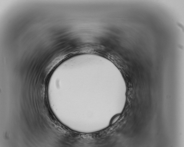 X0000093360194200711081522