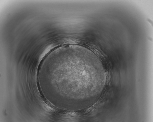 X0000093360195200711081522
