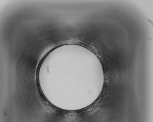 X0000093360196200711081522
