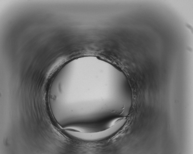 X0000093360197200711081522