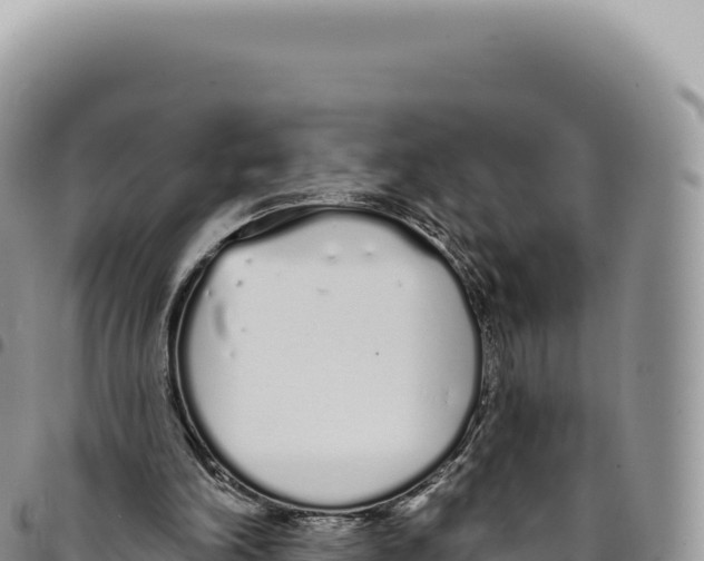 X0000093360198200711081522