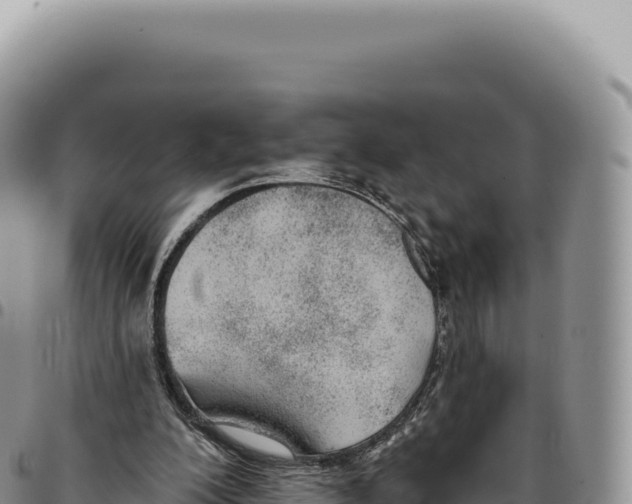 X0000093360200200711081522