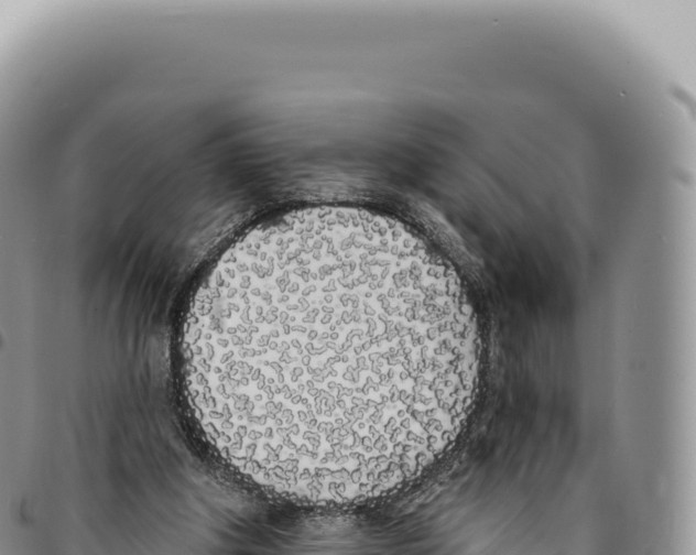 X0000093360202200711081522