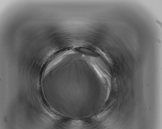 X0000093360203200711081522
