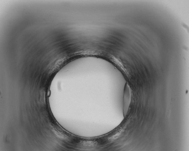 X0000093360205200711081522