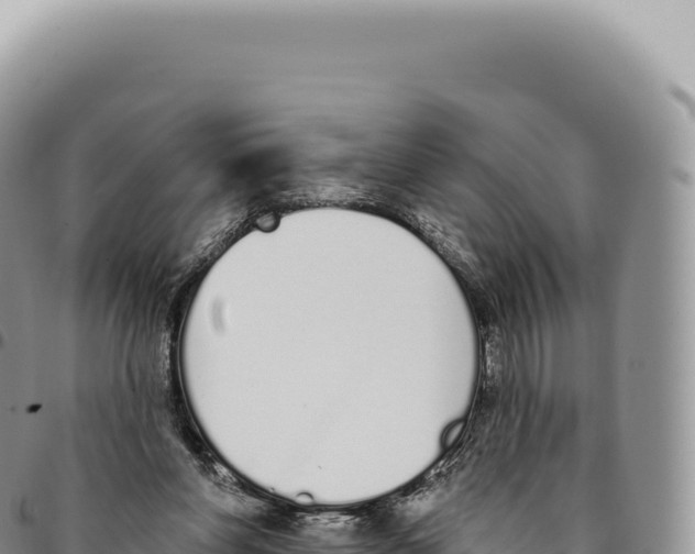 X0000093360206200711081522