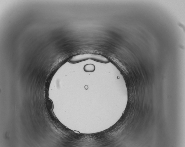 X0000093360207200711081522