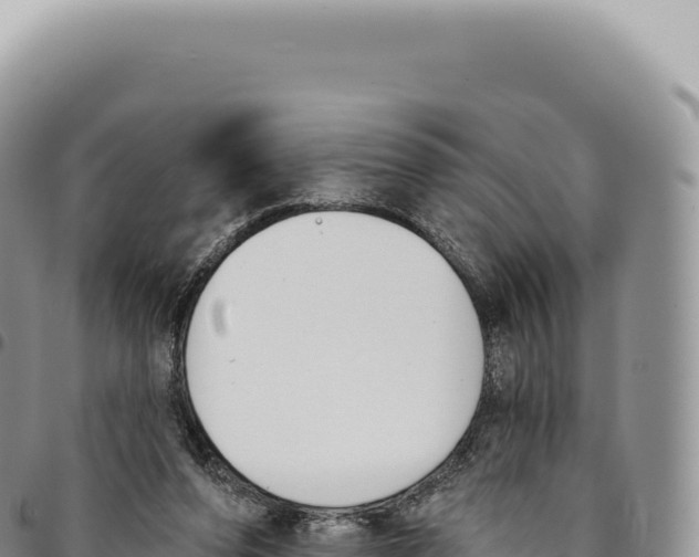 X0000093360208200711081522