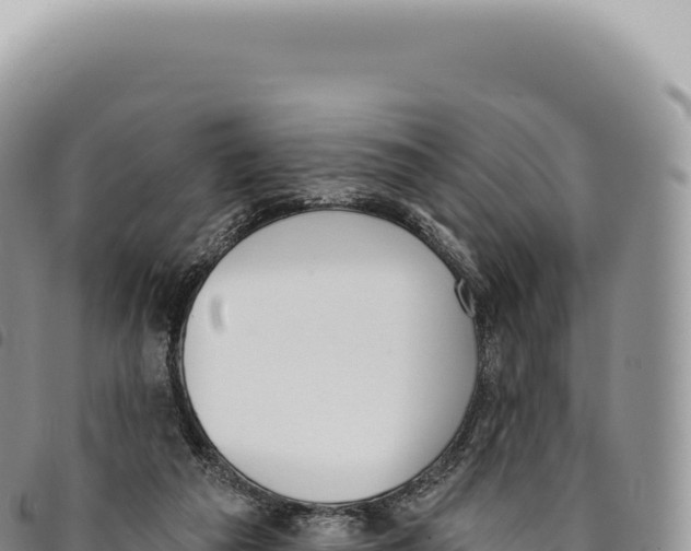 X0000093360209200711081522