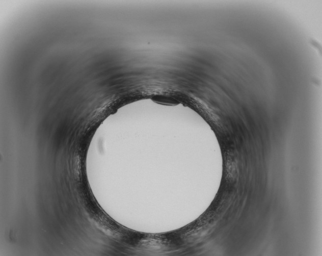 X0000093360211200711081521