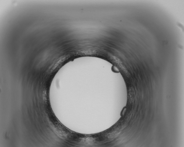 X0000093360212200711081521