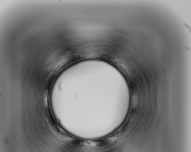 X0000093360214200711081521