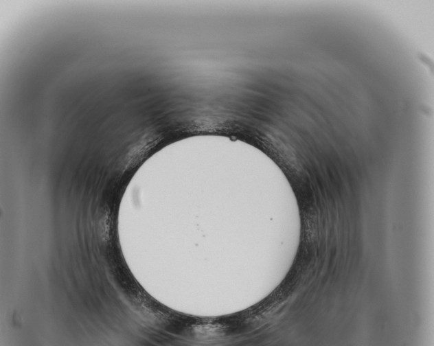 X0000093360216200711081521