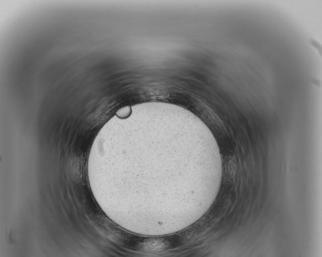 X0000093360218200711081521