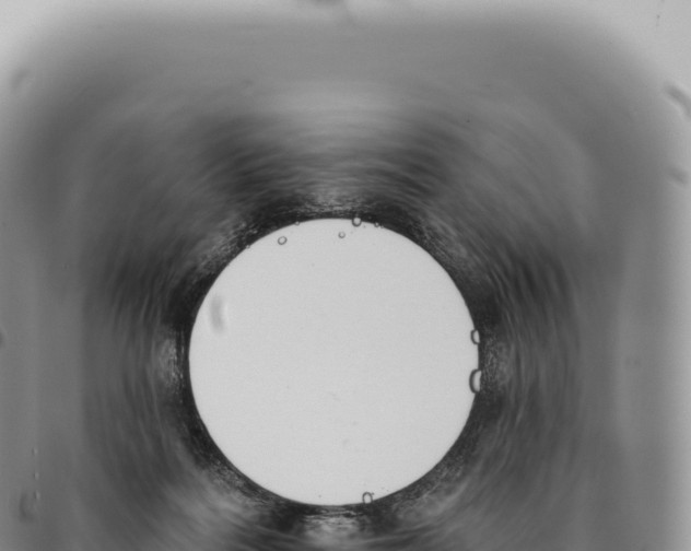 X0000093360220200711081521