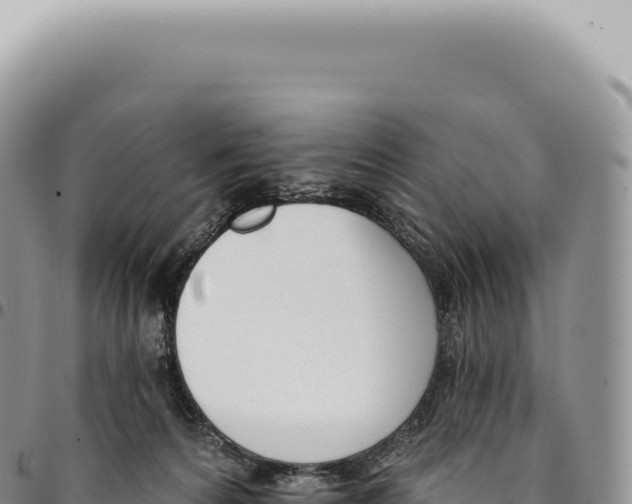 X0000093360224200711081521