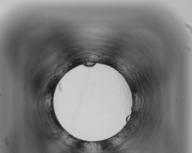 X0000093360230200711081521